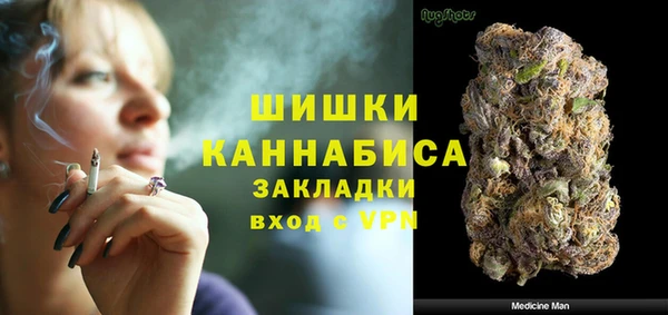 тгк Бронницы