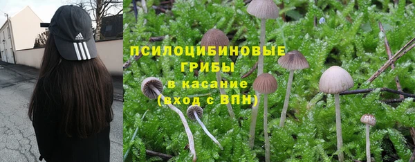 МДПВ Сосновка