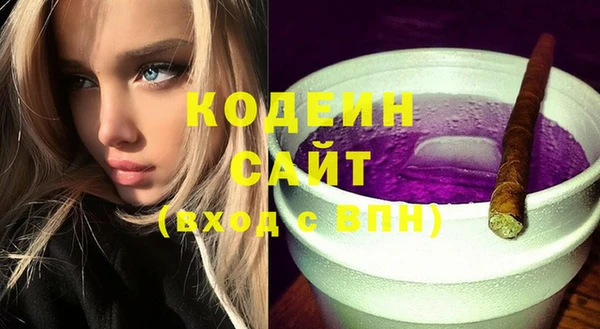соль ск Бородино