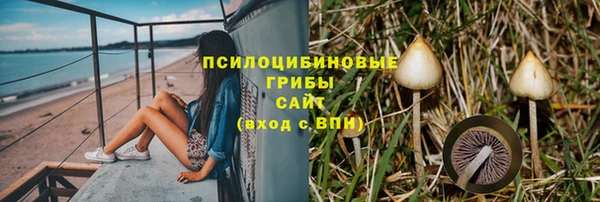 альфа пвп Богданович