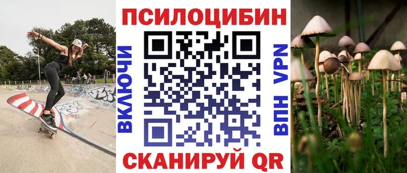 Галлюциногенные грибы Magic Shrooms  площадка наркотические препараты  Ейск 